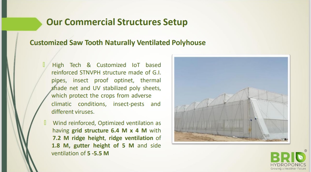 Customized Saw Tooth Naturally Ventilated Polyhouse