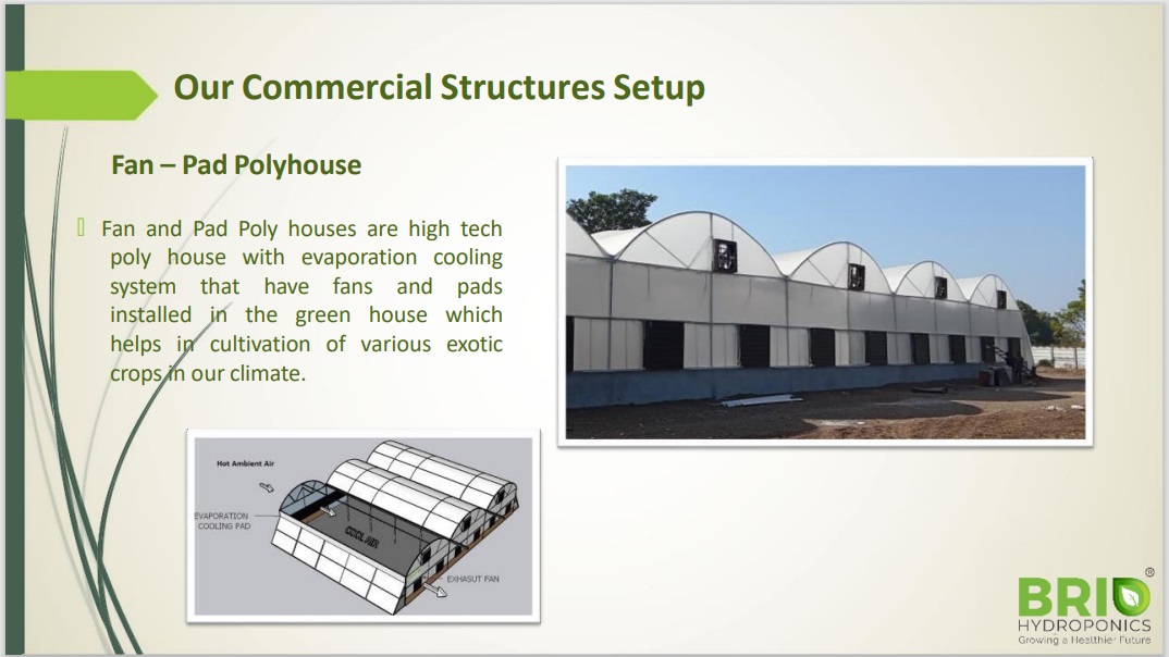 Hydroponics Fan Pad Polyhouse